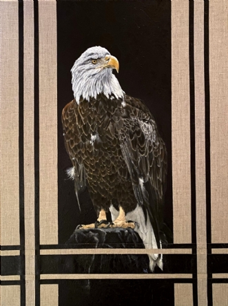 Bald Eagle by Vivi Amelung | maleri