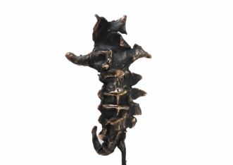 Seahorse by Robert Sigaard | skulptur
