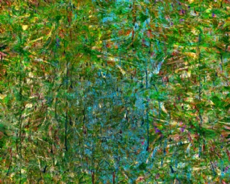 Rainforest by Poul Christensen | unikaramme