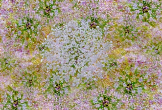 In Bloom by Poul Christensen | unikaramme