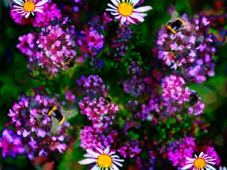 Bien og Blomsten af Poul Christensen