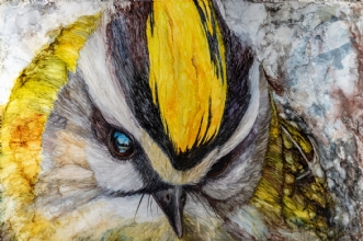 'Fuglenes Lille Kon.. by Suzana Profeta | maleri